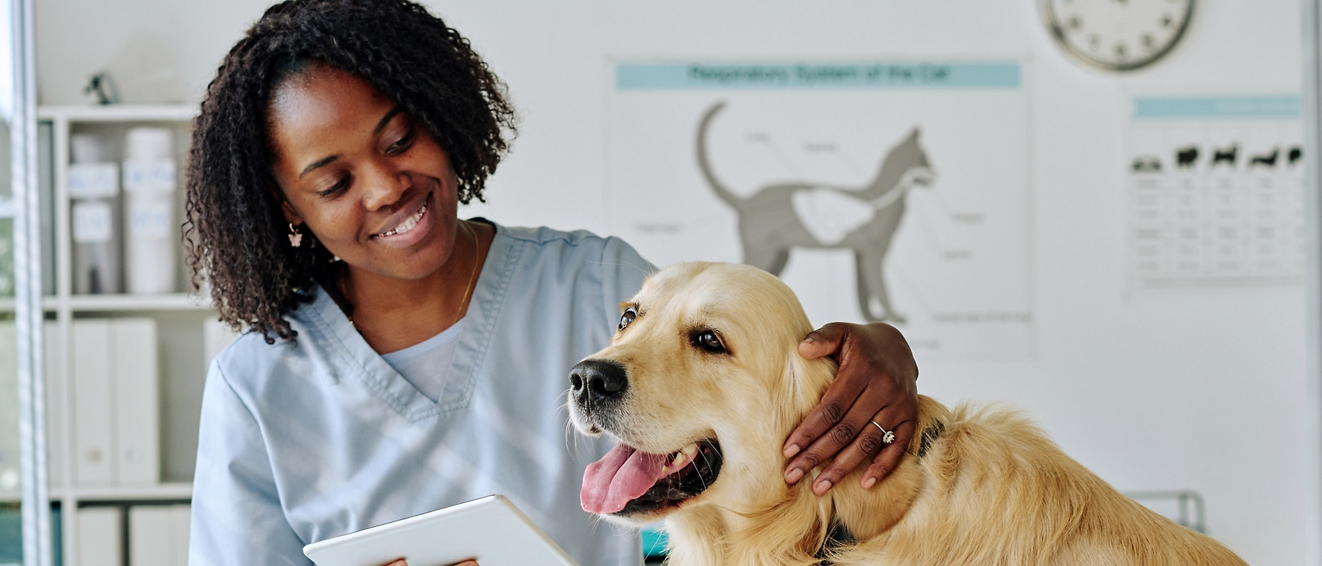 Elanco reforça segurança digital e reduz os tempos de resposta em aproximadamente 50% usando o Security Copilot e o Defender Experts for XDR 1 d518aad2 e952 43be 9c2a 0df7c52c6026