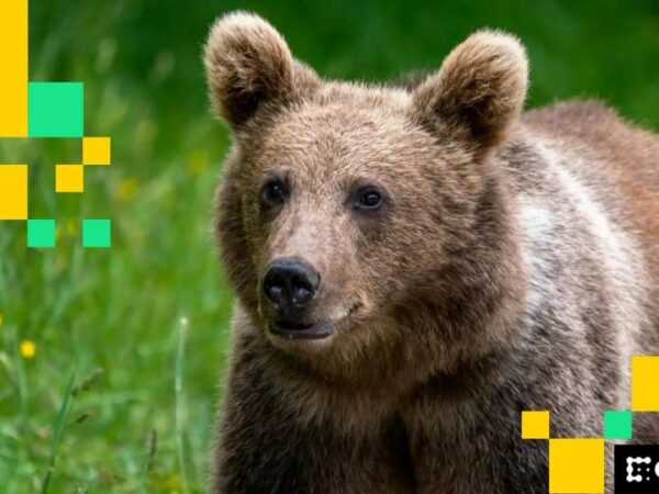 ‘Extremamente baixista:’ O novo preço alvo do Bitcoin é de US$ 91 mil?