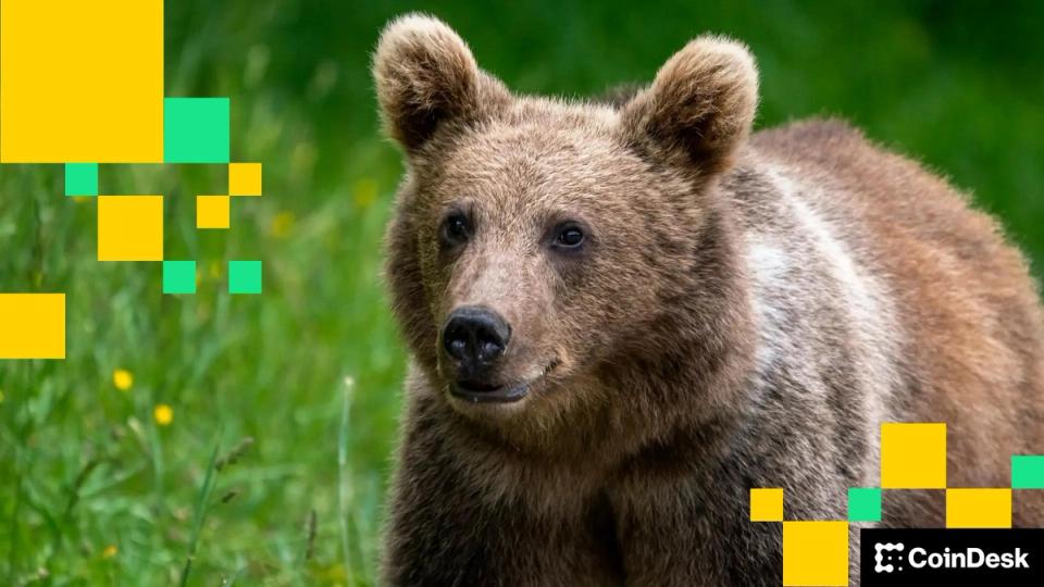 'Extremamente baixista:' O novo preço alvo do Bitcoin é de US$ 91 mil? 1 f740447a0604e010feb19f369e1bccfa7bec5ced